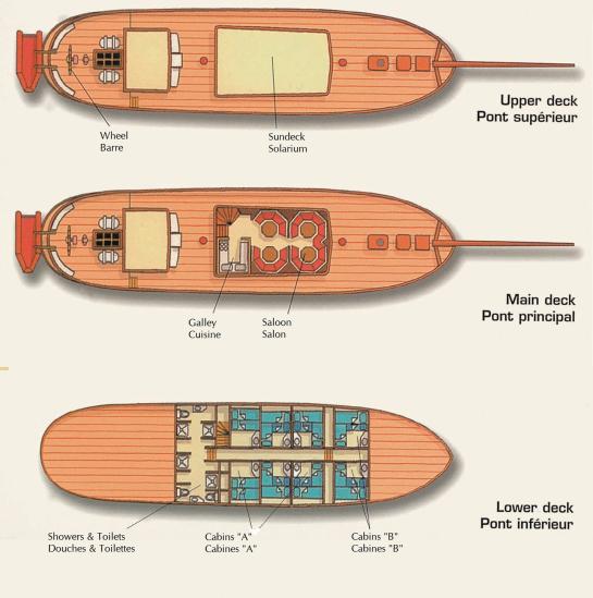 Sea Shell und Sea Pearl