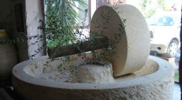 Oleastro - das Olivenhaus